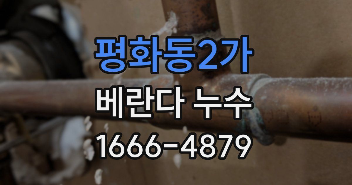 평화동2가 베란다 누수