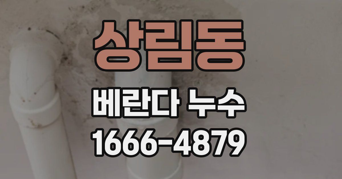 상림동 베란다 누수