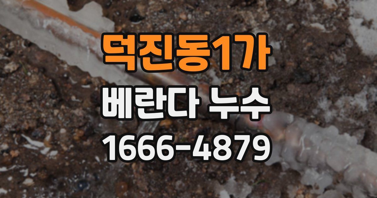 덕진동1가 베란다 누수