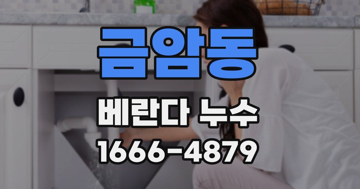 금암동 베란다 누수
