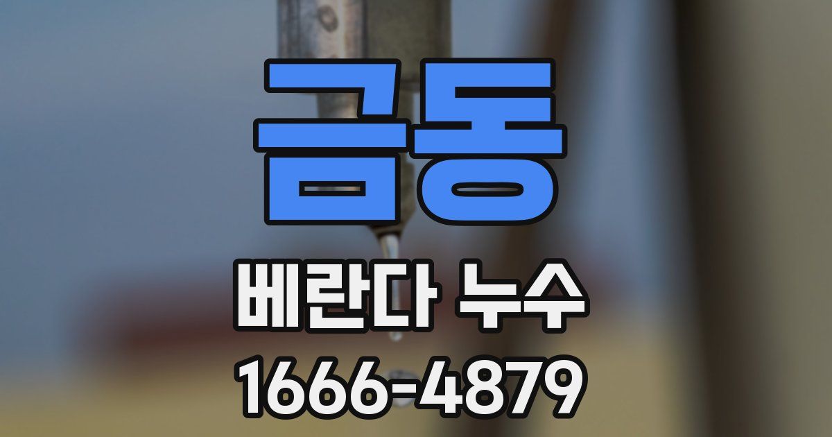 금동 베란다 누수
