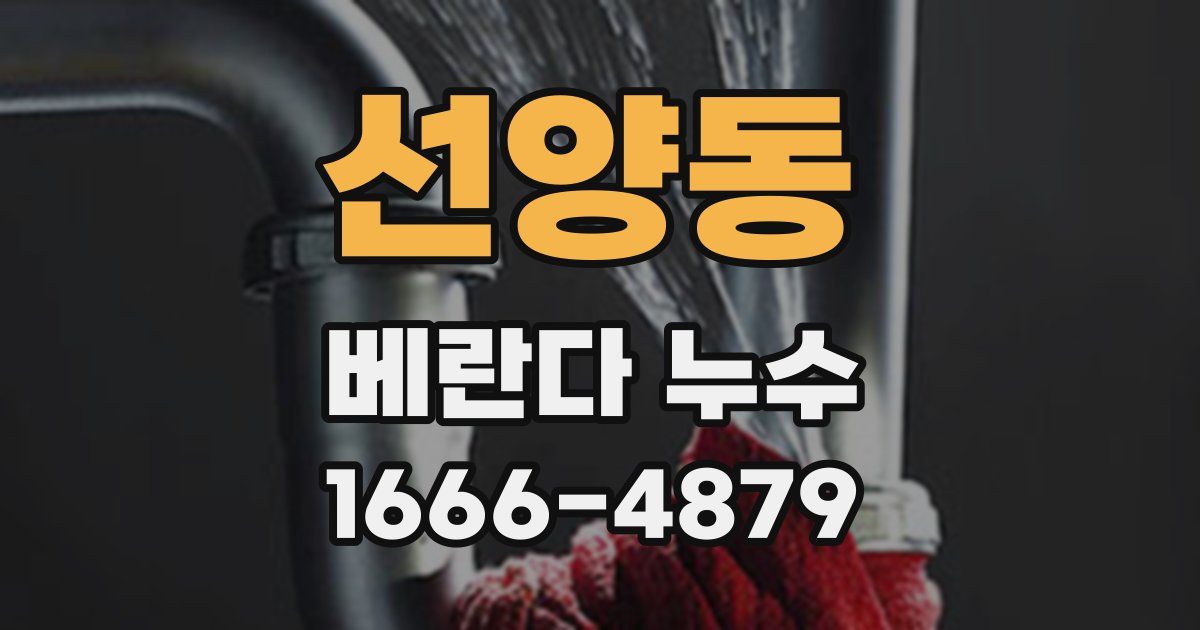 선양동 베란다 누수