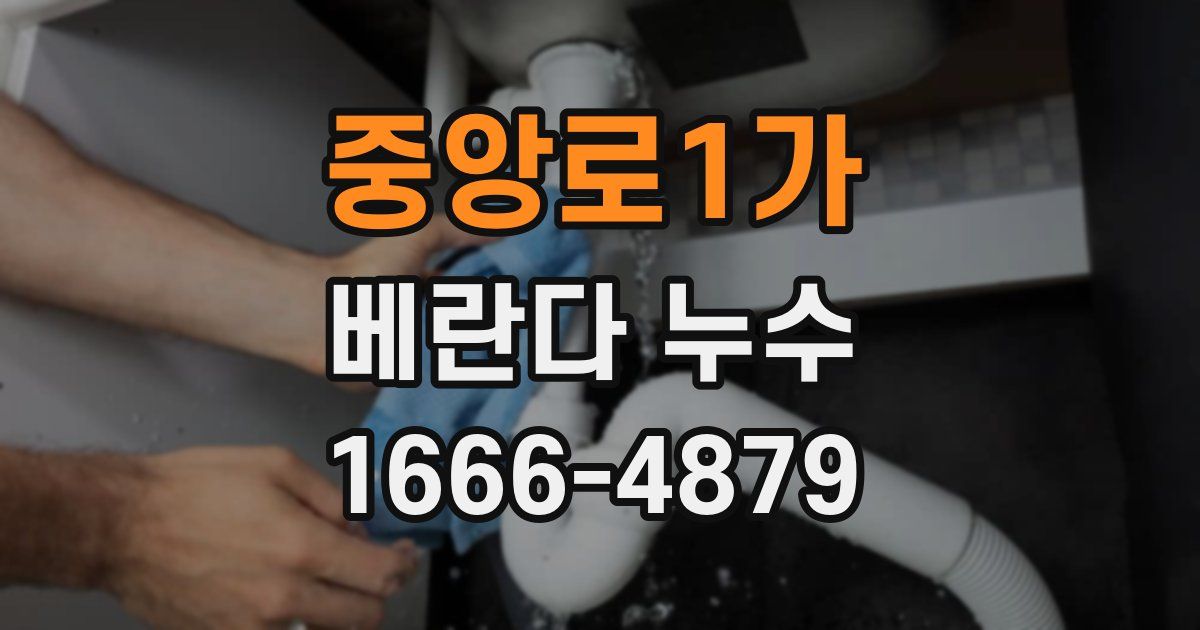 중앙로1가 베란다 누수