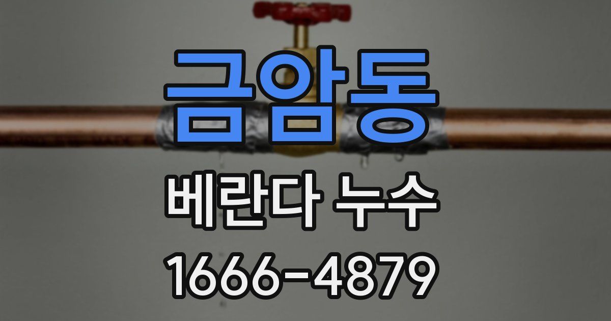 금암동 베란다 누수