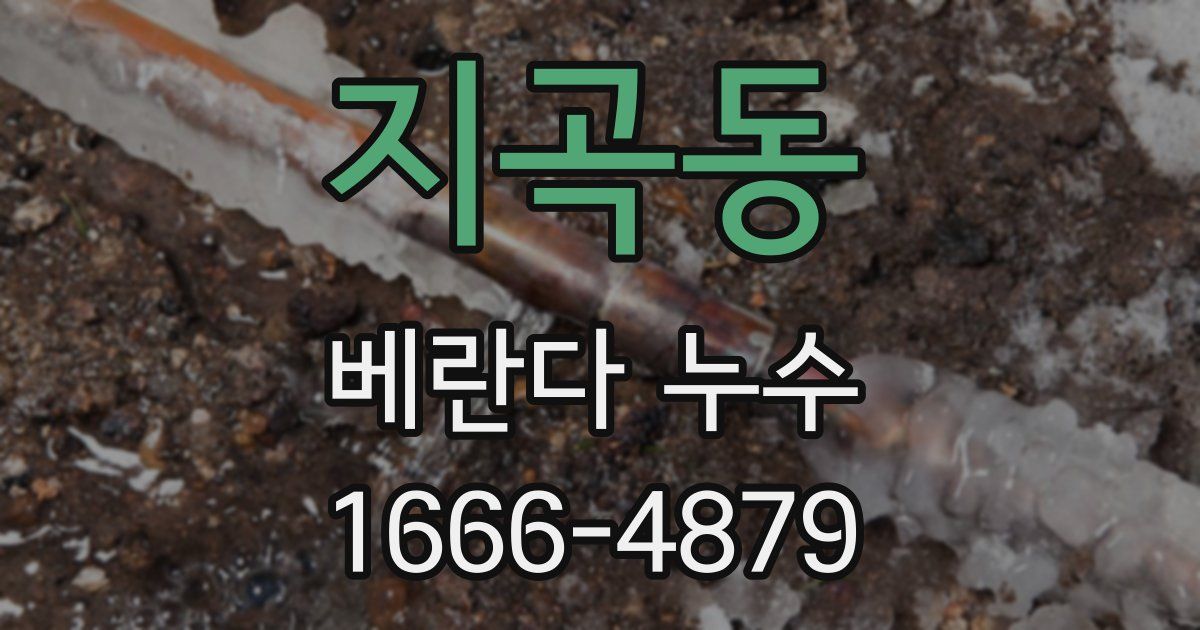 지곡동 베란다 누수