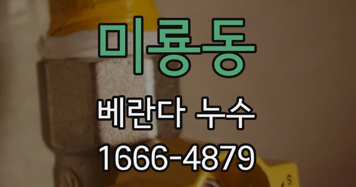 미룡동 베란다 누수