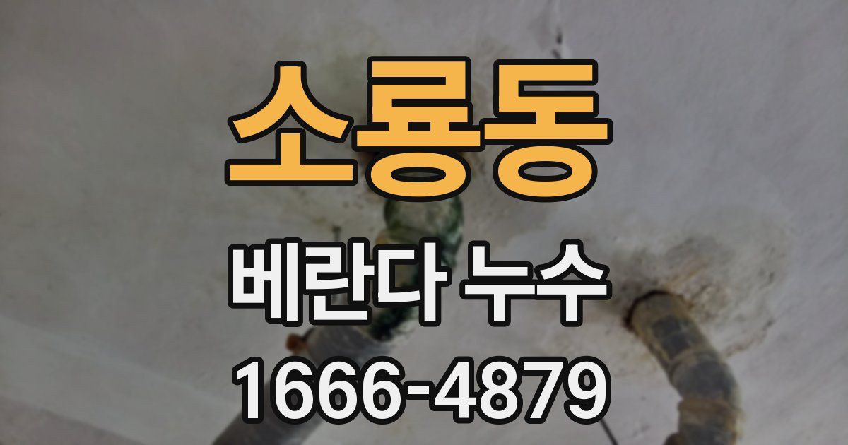 소룡동 베란다 누수