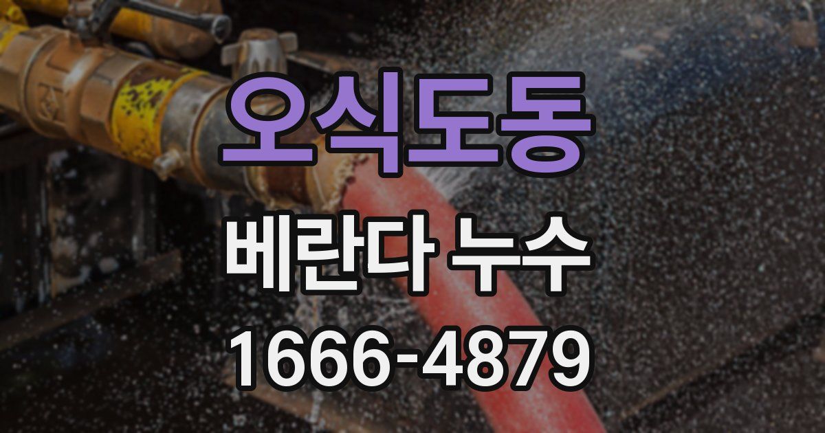 오식도동 베란다 누수