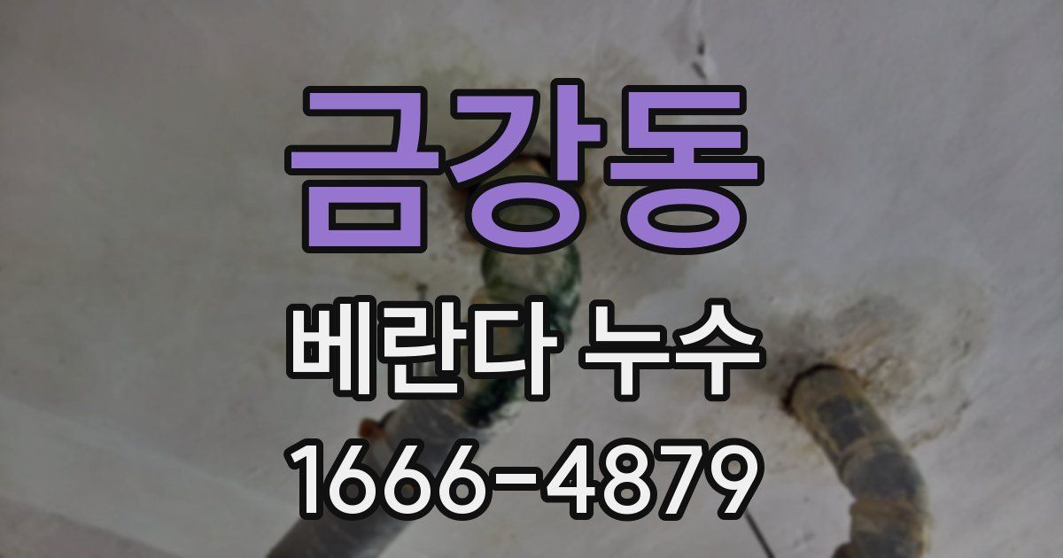 금강동 베란다 누수