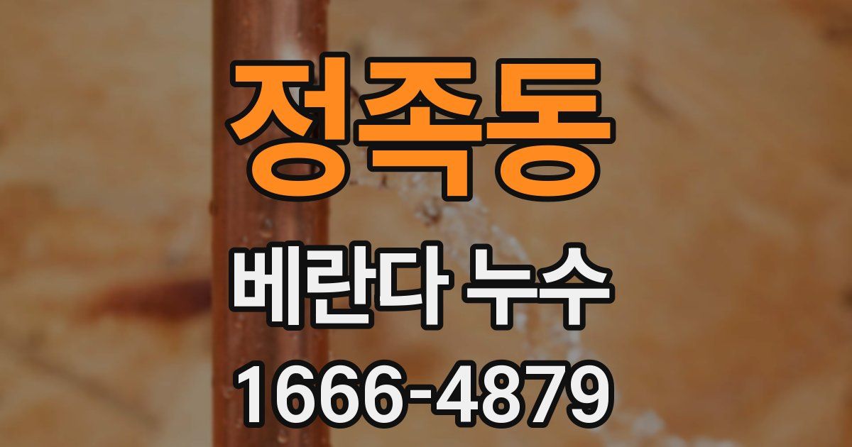 정족동 베란다 누수