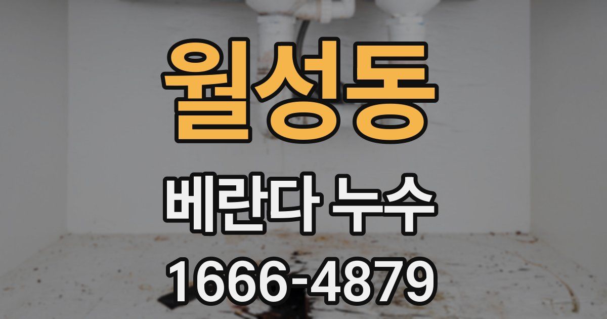 월성동 베란다 누수