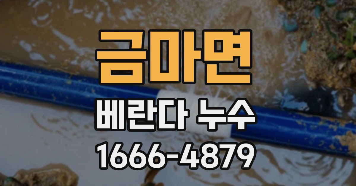 금마면 베란다 누수