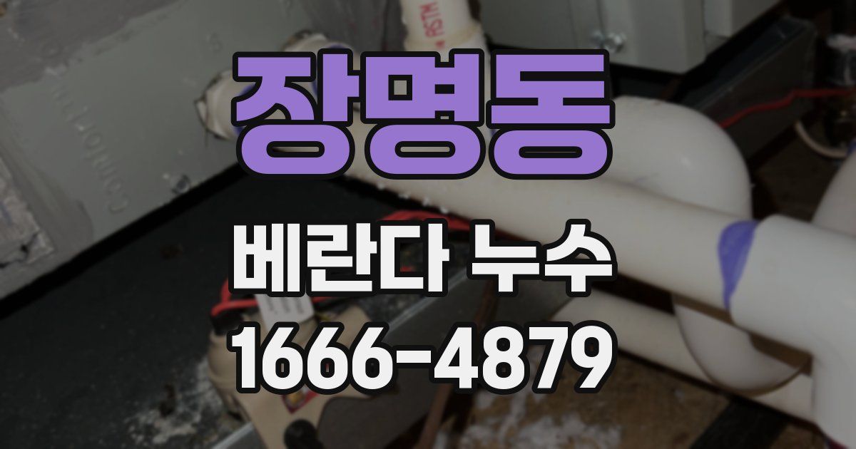 장명동 베란다 누수