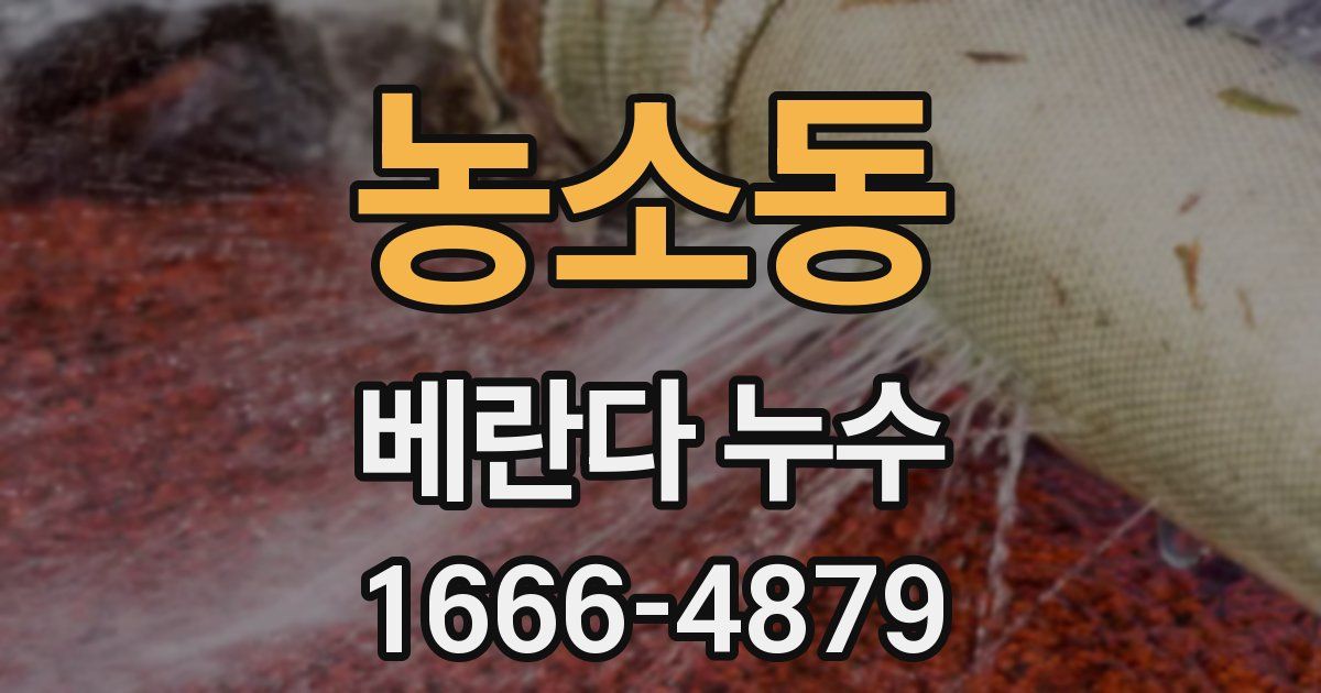 농소동 베란다 누수
