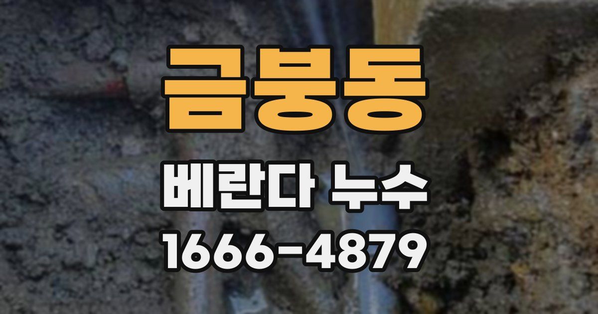 금붕동 베란다 누수