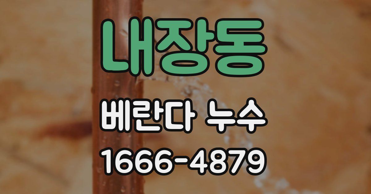 내장동 베란다 누수