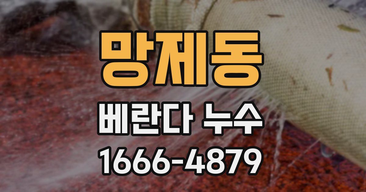 망제동 베란다 누수