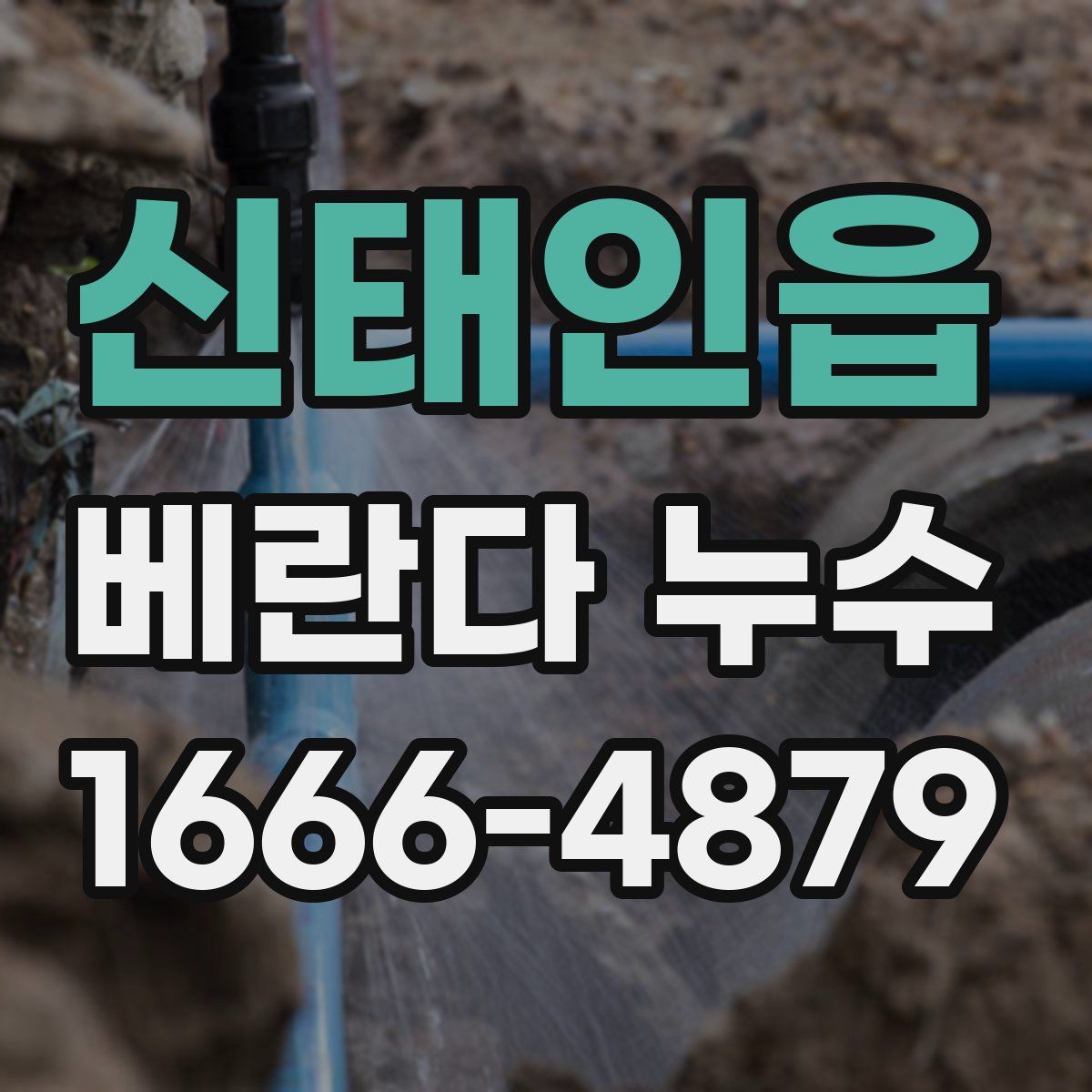 신태인읍 베란다 누수