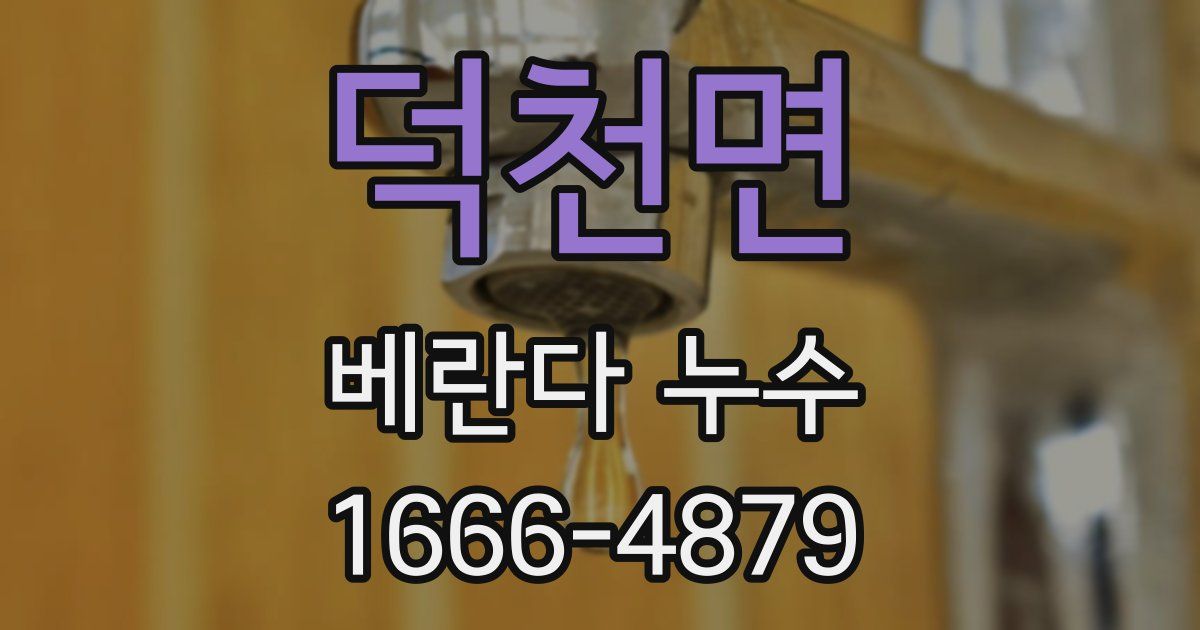 덕천면 베란다 누수