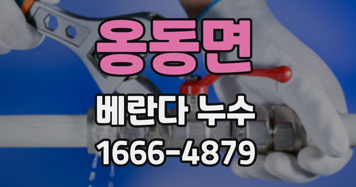 옹동면 베란다 누수