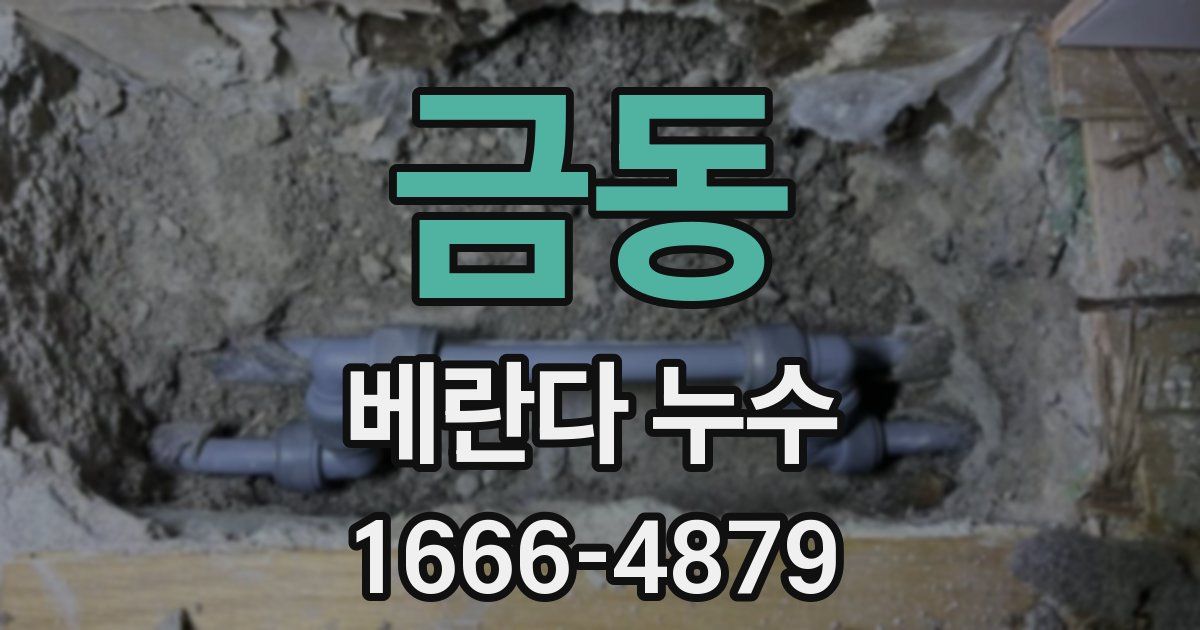 금동 베란다 누수