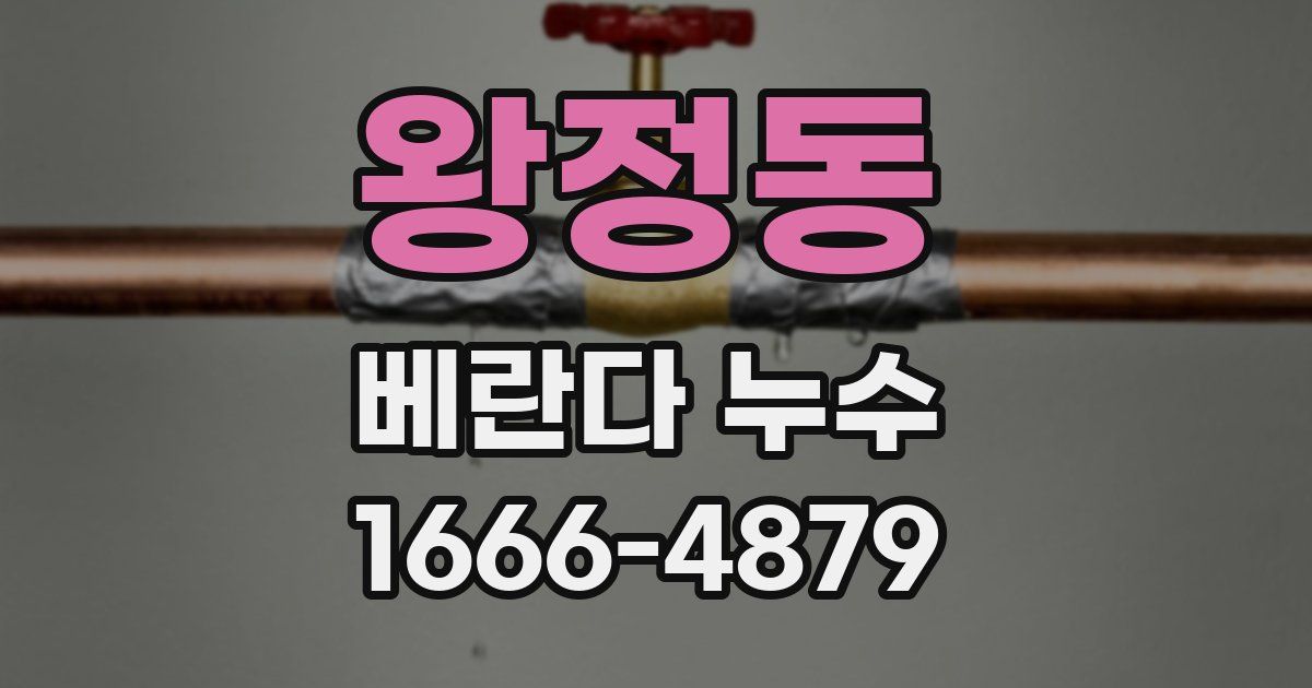 왕정동 베란다 누수