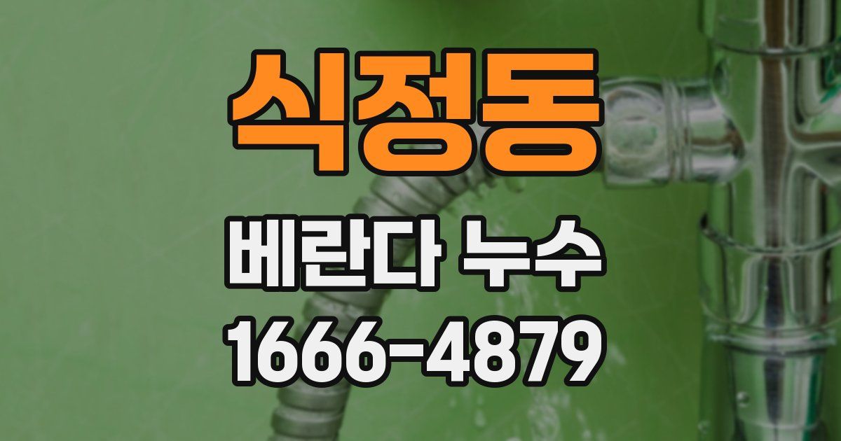 식정동 베란다 누수