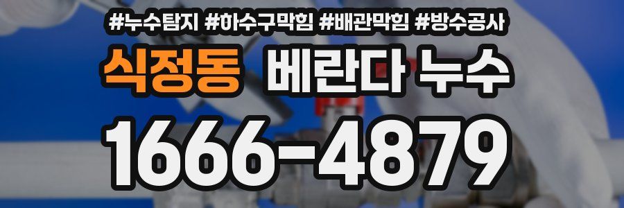 식정동 베란다 누수
