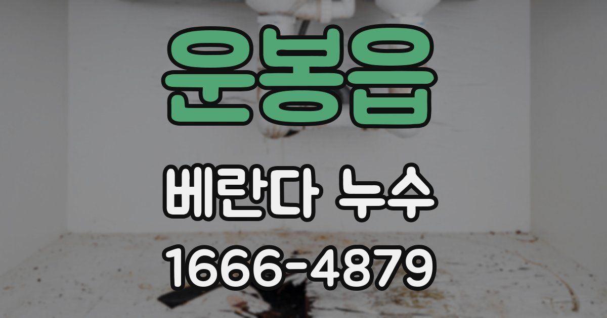 운봉읍 베란다 누수