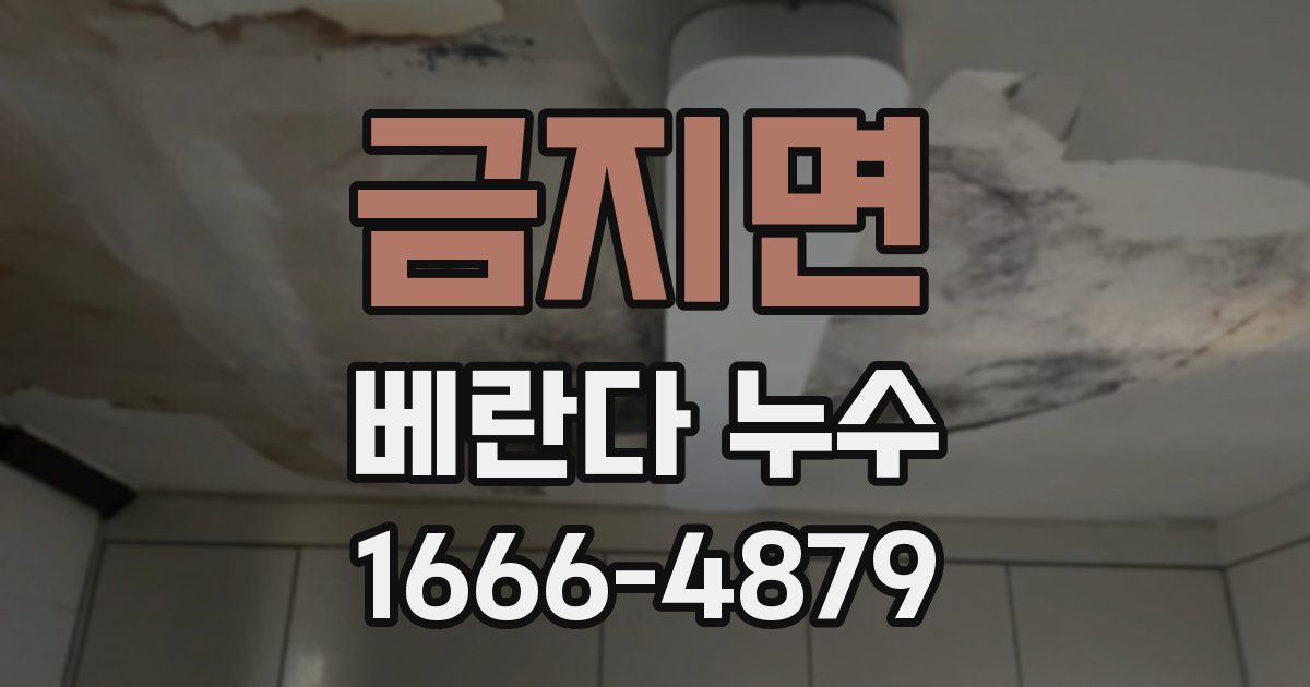 금지면 베란다 누수