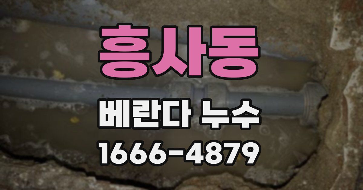 흥사동 베란다 누수