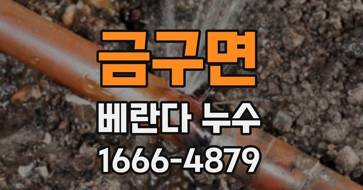 금구면 베란다 누수