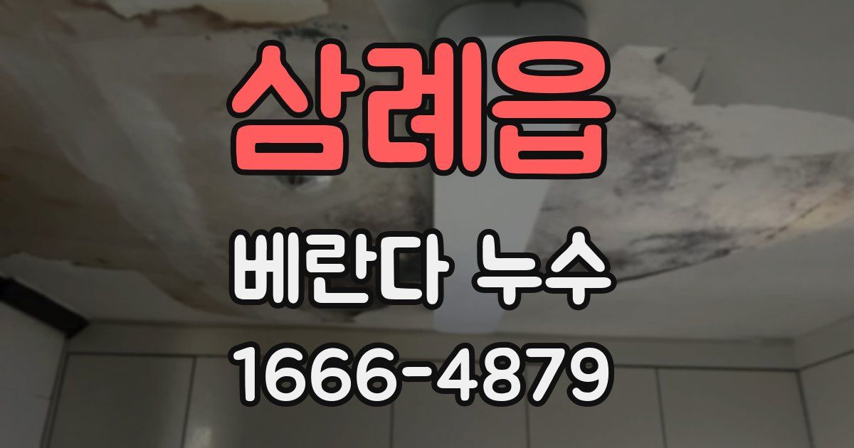 삼례읍 베란다 누수