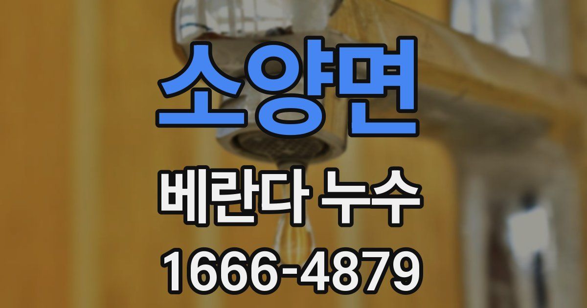 소양면 베란다 누수
