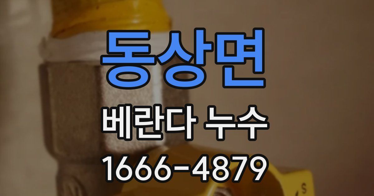 동상면 베란다 누수