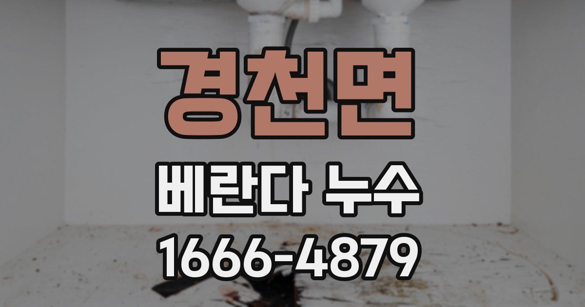 경천면 베란다 누수