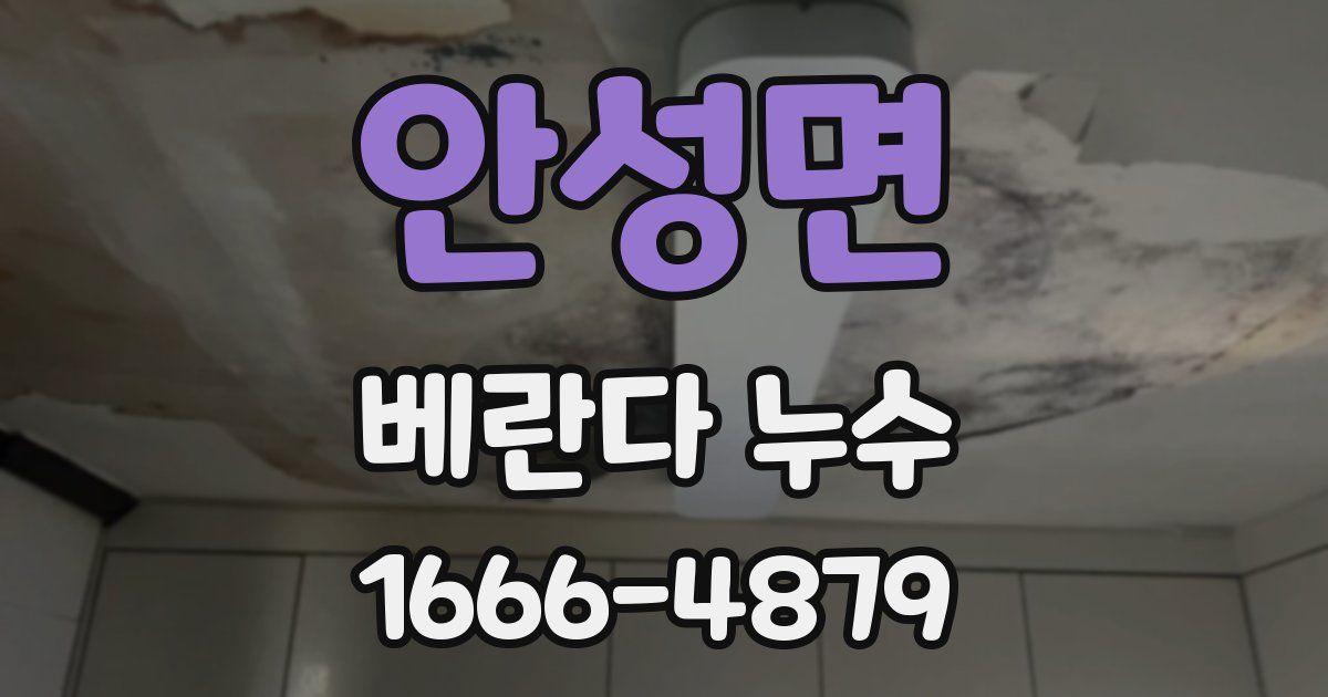 안성면 베란다 누수