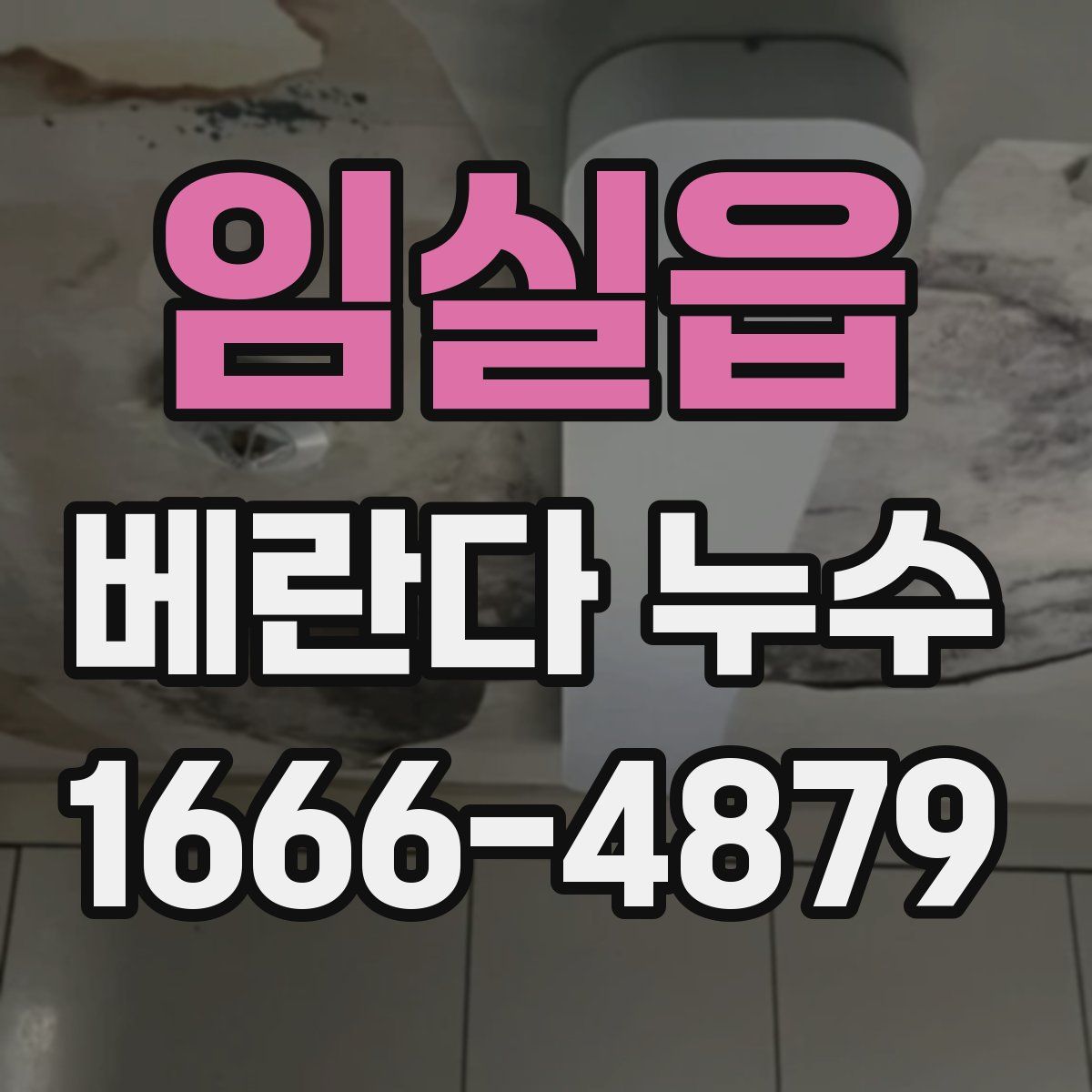 임실읍 베란다 누수