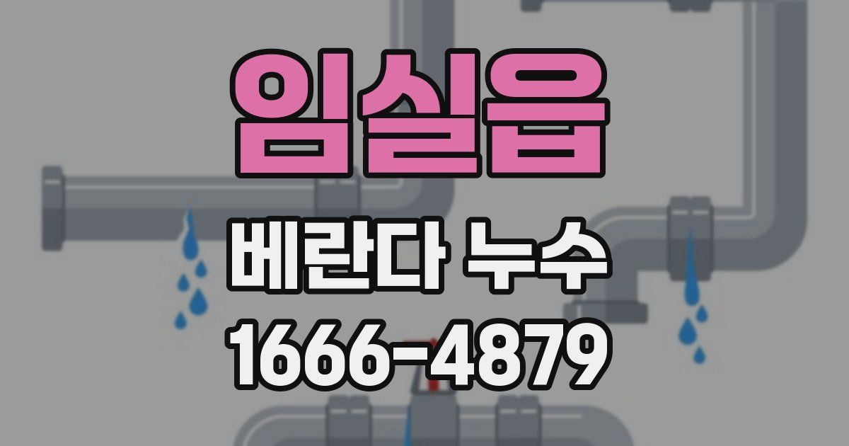 임실읍 베란다 누수
