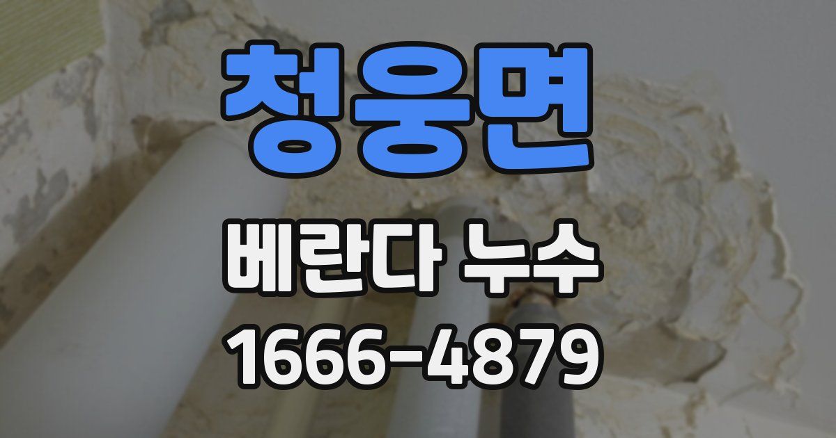 청웅면 베란다 누수