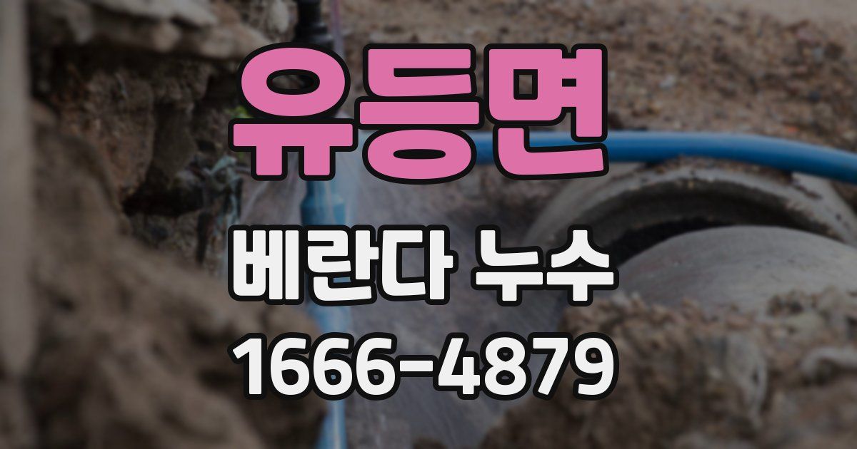 유등면 베란다 누수