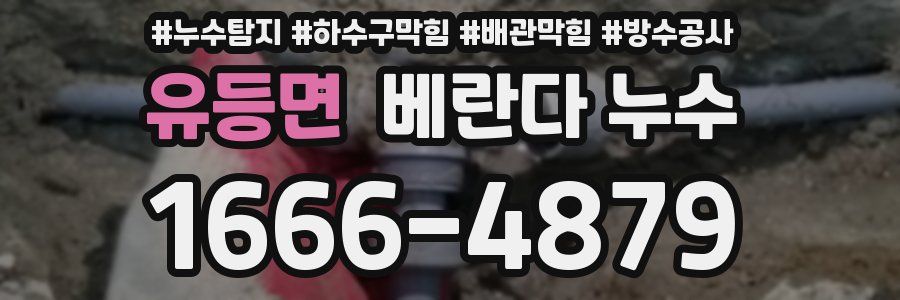 유등면 베란다 누수