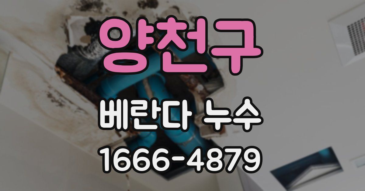양천구 베란다 누수