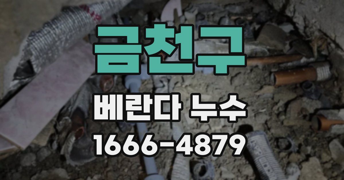 금천구 베란다 누수