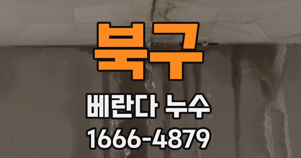 북구 베란다 누수
