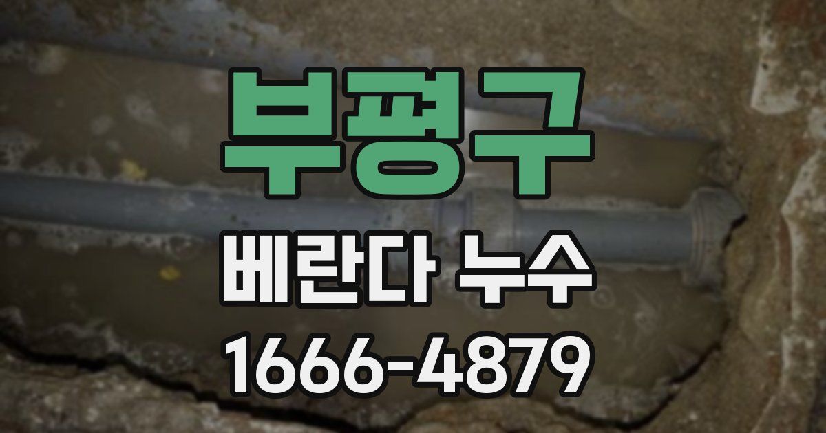부평구 베란다 누수