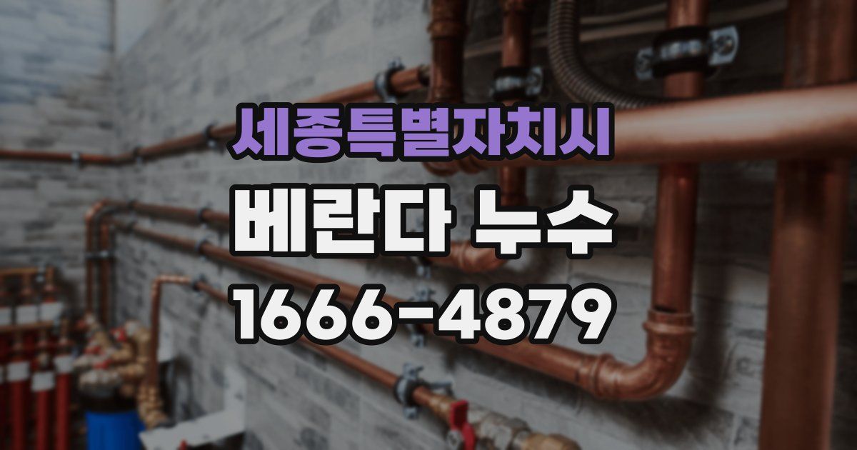 세종특별자치시 베란다 누수