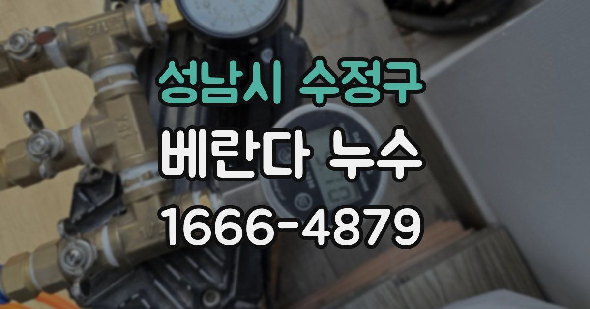 성남시 수정구 베란다 누수