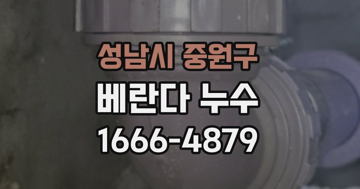 성남시 중원구 베란다 누수