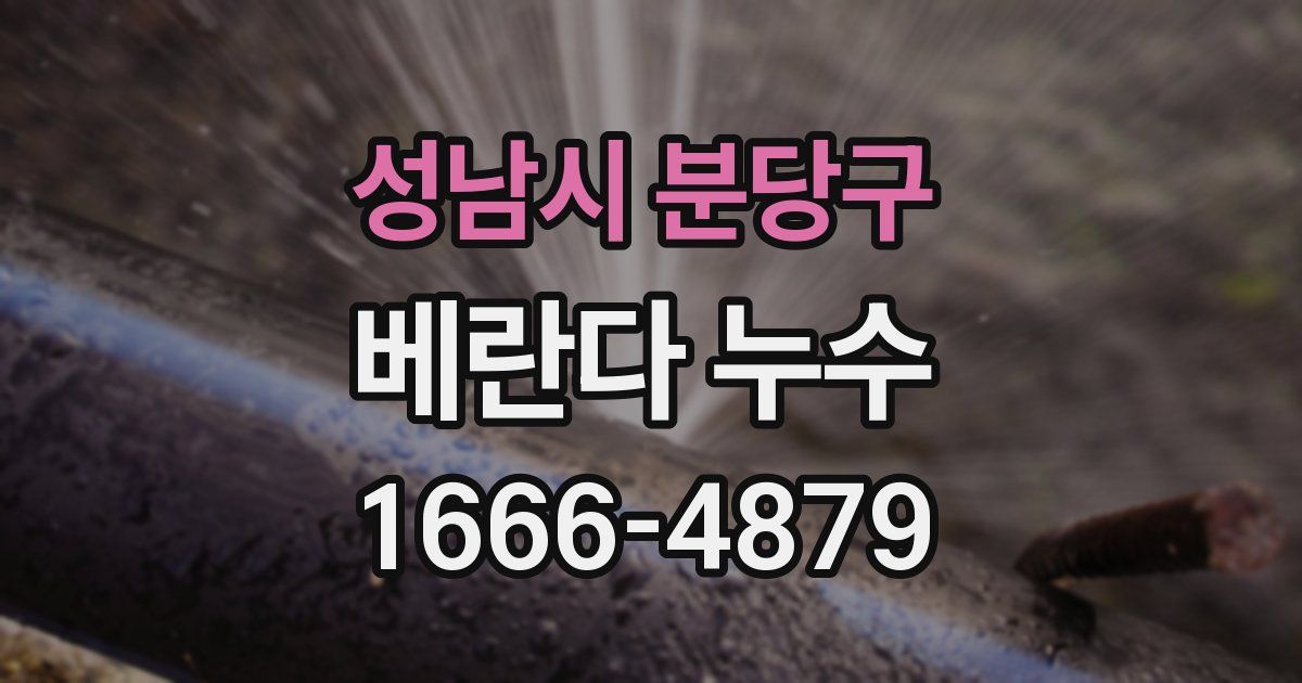 성남시 분당구 베란다 누수